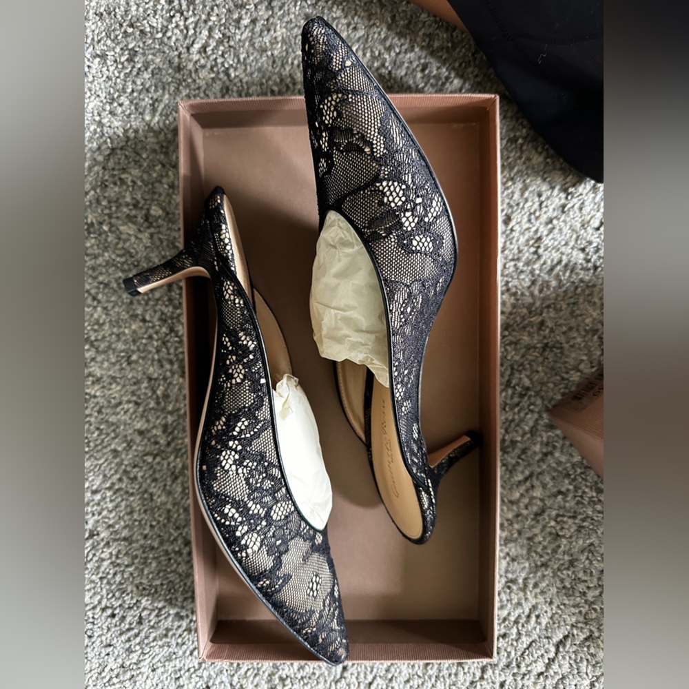 Gianvito Rossi Black Lace Pointed-Toe Kitten Heel Pumps